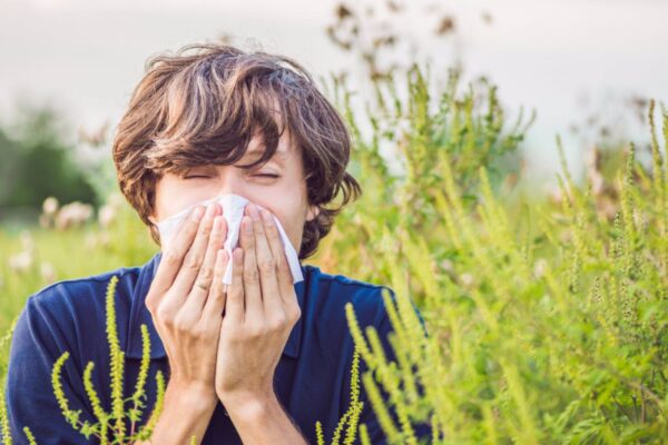 Los alérgicos al polen se enfrentan a una primavera moderada-intensa, con una mayor concentración de gramíneas, sobre todo en Madrid y Toledo, que alcanzarán los 6.000/7.000 granos de polen por metro cúbico, según las previsiones de la Sociedad Española de Alergología o Inmunología Clínica (SEAIC). Así, este año se prevé que, debido a las altas temperaturas que se han registrado desde el inicio de año con un invierno más cálido y a la gran cantidad de precipitaciones en el mes de febrero, el polen se mantenga más tiempo en el ambiente, lo que puede provocar que los síntomas de alergia sean más persistentes. En comparación con la previsión del año anterior, donde la primavera se presentaba como "moderada-leve" en cuanto al polen de las gramíneas en el centro peninsular, en esta temporada se prevé un ascenso de las cifras de polen pasando a moderada-intensa. "Ha llovido mucho más que el año pasado. Las condiciones mas propicias para que haya una polinización más fuerte van a ser en el centro peninsular, siendo muy intensa en Madrid, Toledo y Ciudad Real", ha declarado el presidente del Comité de Aeoribiología Clínica de la SEAIC, el doctor Juan José Zapata, durante la rueda de prensa de este lunes. También se prevé que los índices de polen sean elevados en Castilla-León y Castilla La Mancha, así como en Badajoz, Cáceres, Sevilla y Jaén. Por el contrario, se esperan índices de polen leves o muy leves en Almería, Cádiz, Málaga, Baleares, Islas Canarias (300 granos/m3), Cataluña, Comunidad Valenciana, Murcia y todo el norte Peninsular, donde no superarán los 2.000 granos por metro cúbico. No obstante, el doctor Zapata ha advertido de que, aunque haya zonas con menores índices de polen, los pacientes alérgicos que habiten en estas zonas "no deben descuidarse". "Un paciente que esté en zona de polinización leve de gramíneas y tiene alergia va a tener que tratarse, que sea leve no quiere decir que el paciente se pueda descuidar. No quitemos importancia a cómo va a ser en cada zona, lo importante es que los pacientes conozcan, que se fijen en la concentración de polen, el día y la medicación porque seguramente ese va a ser el porcentaje de polen que lo reactiva", ha explicado. EL CAMBIO CLIMÁTICO AFECTA A LAS ALERGIAS: MÁS POLEN Y MÁS SÍNTOMAS Por otro lado, los expertos han advertido de que, debido al cambio climático, durante el primer trimestre del año se ha observado un comportamiento atípico de la polinización de las plantas cupresáceas, características de esta época, por lo que la temporada de alergia ha podido adelantarse, siendo cada vez más extensa y con unos síntomas más persistentes. "Las inusuales altas temperaturas vividas desde finales de enero han provocado un adelanto de los picos de polinización", han señalado. Así, han explicado que el cambio climático afecta en el momento, la dispersión, la cantidad y la calidad de los alérgenos, así como a la distribución y gravedad de las enfermedades alérgicas. El aumento de las temperaturas y la falta de precipitaciones se han posicionado como factores determinantes en el momento y la forma de polinización de las plantas, influyendo así en la sintomatología de los pacientes alérgicos "El cambio climático afecta a nuestros pacientes y esto a los alergólogos nos preocupa. El cambio climático hace que las plantas se defiendan de estas condiciones adversas y cambien. Tenemos más meses cálidos y eso hace que la polinización empiece antes y acabe más tarde, tendrán más síntomas y aumenta la incidencia de las enfermedades respiratorias como el asma, la rinitis alérgica y la conjuntivitis", ha asegurado la secretaria de la SEAIC, Carmen Andreu. Además, la experta también ha apuntado que "las partículas de contaminación en el ambiente pueden producir síntomas incluso en pacientes que no son alérgicos". "Los pacientes van a tener más periodo con polinización, un polen más agresivo, más síntomas y aumentará la presión asistencial en los centros sanitarios", ha concluido la experta. CÓMO TRATAR LA ALERGIA AL POLEN En este contexto, los alergólogos han incidido en la importancia de mirar los niveles de polen de cada día para saber qué medidas se deben tomar y, si es necesario, no salir de casa, así como detectar qué tipo de alergia se tiene y a que polen en concreto para que el tratamiento sea más personalizado y haga el mayor efecto posible. Con respecto al tratamiento con inmunoterapia, es decir, la vacunación, que hace posible la curación de la alergia, el doctor Juan José Zapata ha advertido de que, debido a las condiciones meterológicas mencionadas, "se está produciendo un ambiente de polialergia, donde los pacientes tienen diferentes alergias y sensibilidad a otras nuevas alergias". "Tenemos un ambiente para un polialérgico servido hasta aproximadamente finales de agosto. Tratar a un paciente con esta sintomatología se nos ha hecho mucho más difícil por lo que es muy importante hacer un diagnóstico personalizado, de precisión, que vaya a la causa de la sensibilidad para que se aplique el tratamiento de una manera más correcta", ha detallado el doctor Zapata. En lo que respecta a la posibilidad de curación de las alergias al polen, el experto ha explicado que esta es posible aunque, para ello, es "necesario saber qué alérgeno es el que está produciendo la patología y los síntomas" ya que, aunque en las pruebas de la alergia salgan diferentes alergias, no todas ellas producen síntomas ni se convierten en una alergia principal. "Se pondrá la vacuna al polen donde el paciente realmente tiene responsable su sintomatología y hacemos que el paciente no tenga síntomas y se puede curar. Es un tema muy complejo que no siempre todo es blanco o negro y no olvidemos que es una enfermedad genética por lo que podemos curar la sensibilidad a un alérgeno, pero no la predisposición genética a tener una alergia", ha añadido. Por su parte, el presidente de la SEAIC, Ignacio Dávila, ha incidido en que "es muy importante determinar los niveles de polen para que los pacientes eviten salir de casa", pero también para las empresas distribuidoras de fármacos porque "ha habido épocas donde han tenido una carestía de bronco tratadores". También ha resaltado la importancia de que se de una mayor formación en alergología en las universidades porque "las enfermedades alérgicas son muy propias del siglo XXI)" y "debe ser el alergólogo" el que evalúe a los pacientes con alergia al polen porque "en ocasiones también tienen otras alergias". "Los alergólogos somos fundamentales en el diagnóstico y tratamiento de las enfermedades alérgicas. Ante el aumento imparable de su prevalencia y dado que el paciente alérgico tiene cada vez una patología más compleja que requiere una mayor dedicación de tiempo y de recursos, incrementar la dotación de alergólogos en el sistema sanitario es la única respuesta posible. Por ello, también resulta de gran importancia promover la formación de esta especialidad y aumentar así la presencia de alergólogos en los Cuerpos Docentes de los grados de Medicina", ha declarado. IMÁGENES DISPONIBLES EN EUROPA PRESS TELEVISIÓN URL DE DESCARGA: https://www.europapress.tv/ciencia/853501/1/seaic-afirma-paso-tiempo-hay-fenomeno-polialergia-polenes https://www.europapress.tv/sociedad/853498/1/seaic-asegura-alergias-son-casi-pandemia-no-infecciosa TELÉFONO DE CONTACTO 91 345 44 06